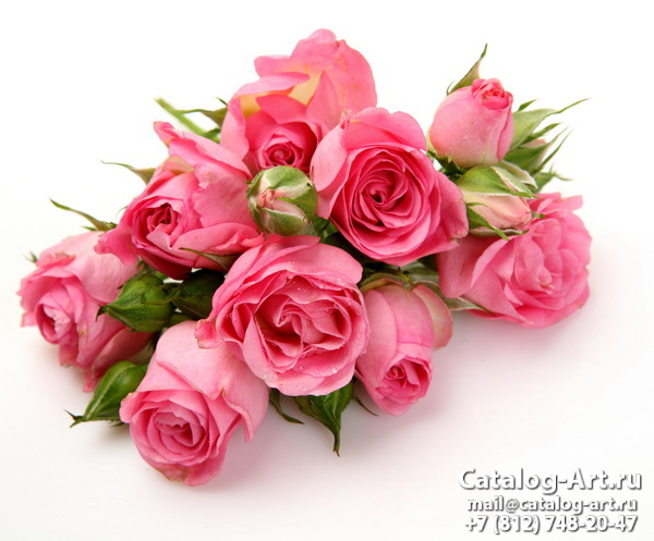 Pink roses 59